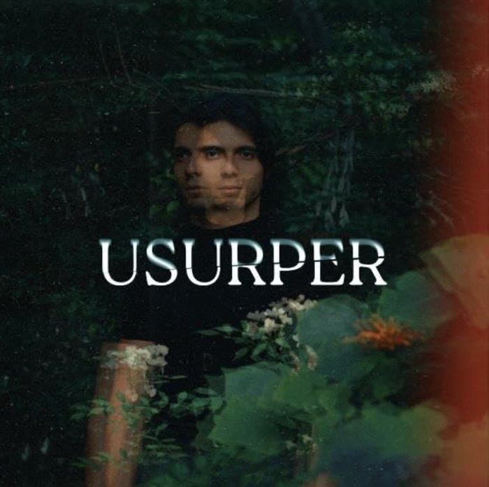 Usurper poster