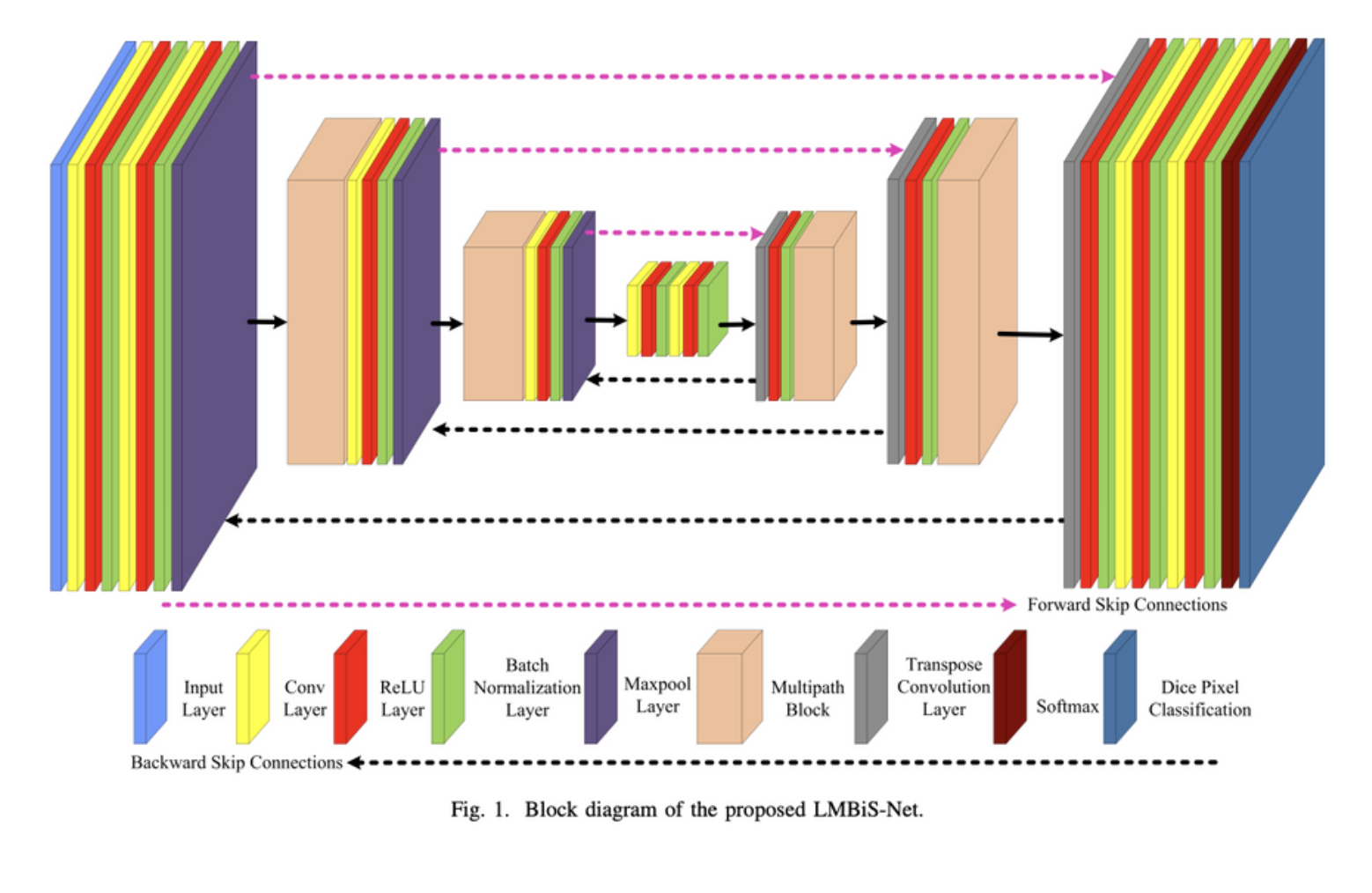 LMBiS-Net architecture